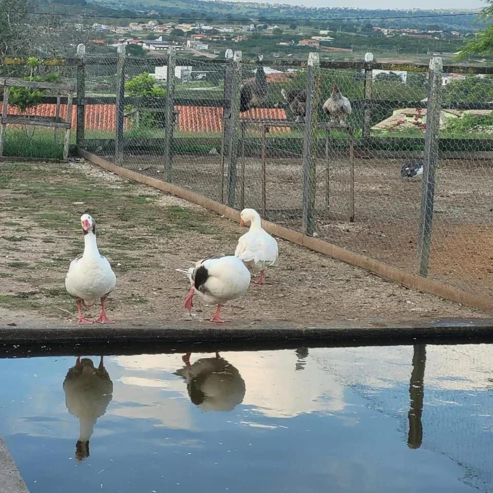 Flat Studio 11 Hotel Fazenda Gravata-Pe Экстерьер фото